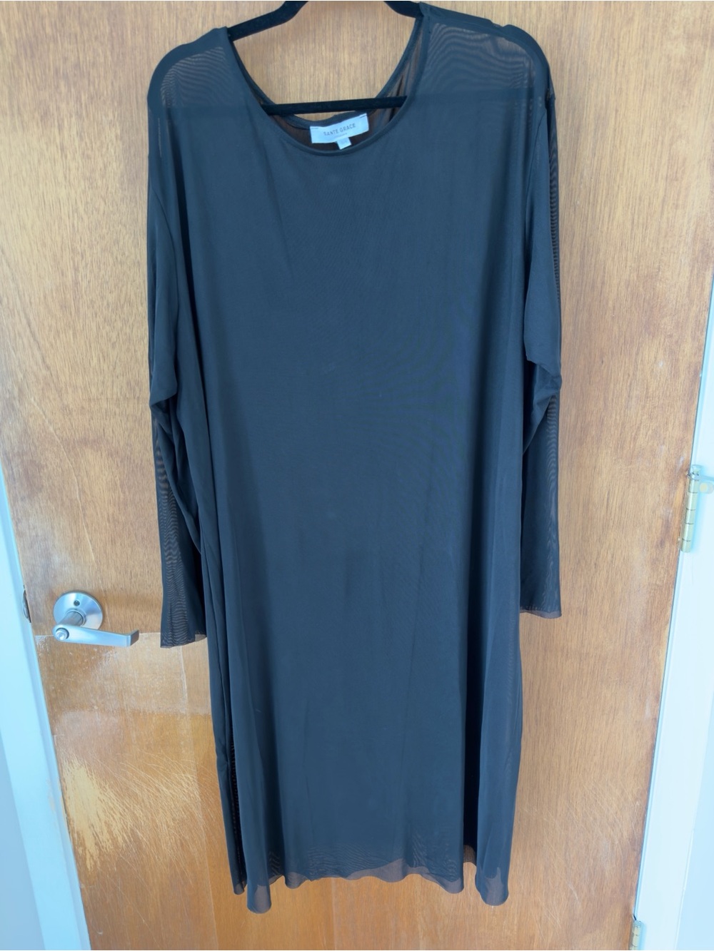 Sante Grace Ghost Mesh Xray Dress